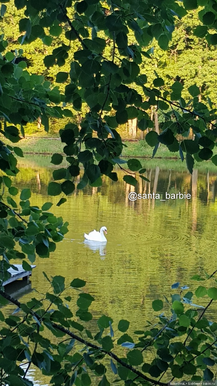 Три с половиной грации. Девочки отдыхают