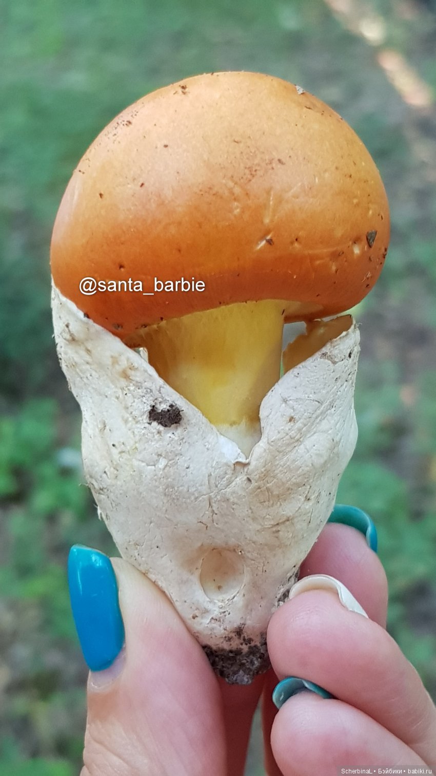 Три с половиной грации. Девочки отдыхают