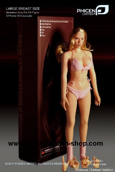 PL201101-13 PL201101-13