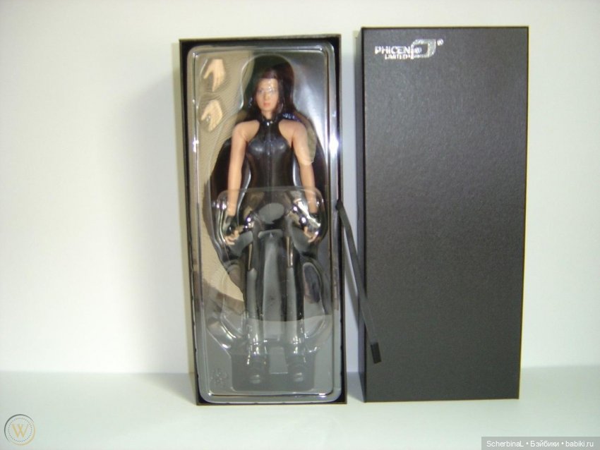 История TBLeague Phicen. Часть 1 | Бэйбики История TBLeague Phicen. Часть 1