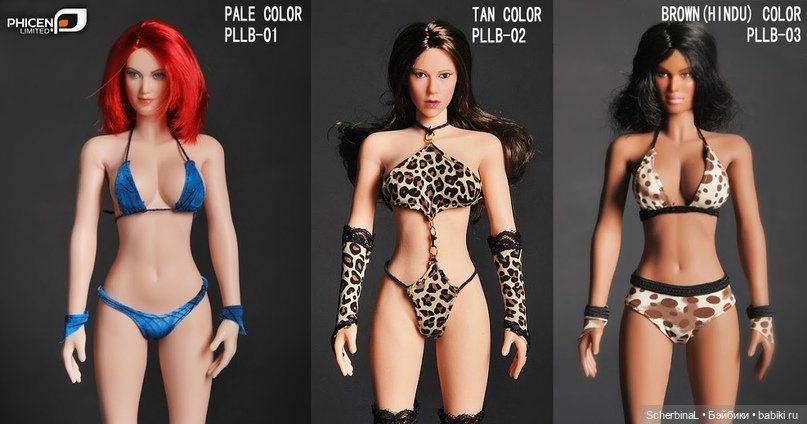 PLLB-01 PLLB-02 PLLB-03 PLLB-01 PLLB-02 PLLB-03