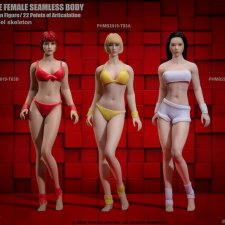 Обзор и сравнение бесшовных тел Phicen формата 1/12