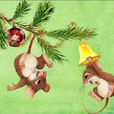 Вот он какой, символ нового года