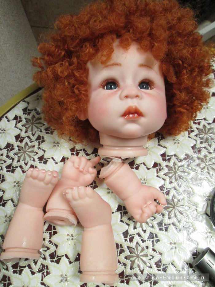 Откуда иногда берутся Рыжики (фото 4)