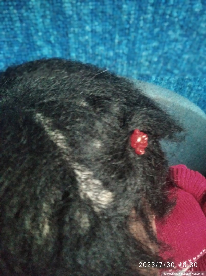 Моя шоколадная малышка Жасмин | Бэйбики Моя шоколадная малышка Жасмин (фото 5)