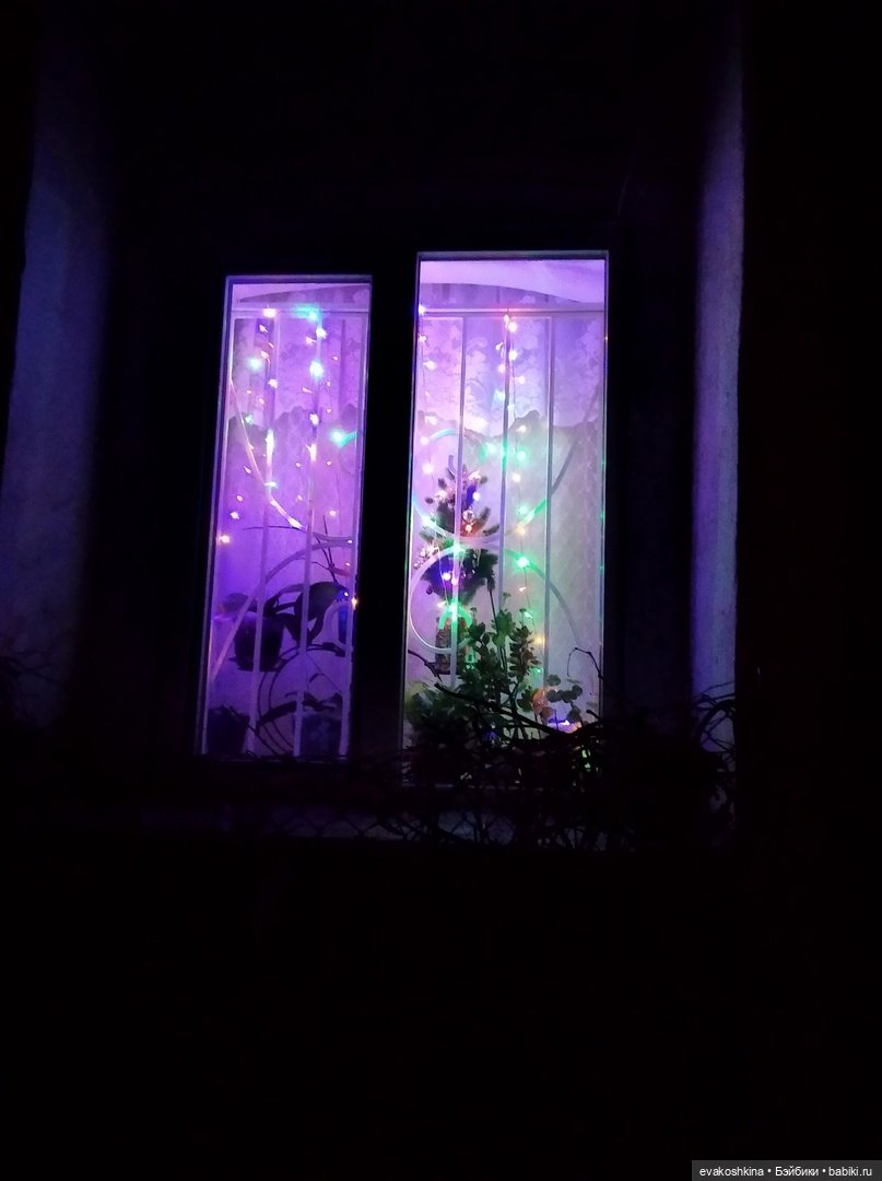 Мандрагора как подарок на Рождество, моя версия