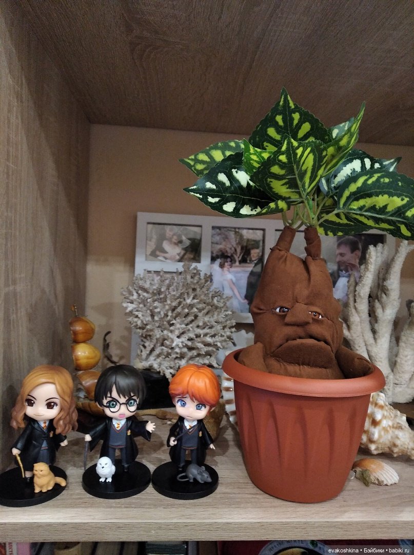 Мандрагора как подарок на Рождество, моя версия (фото 5)