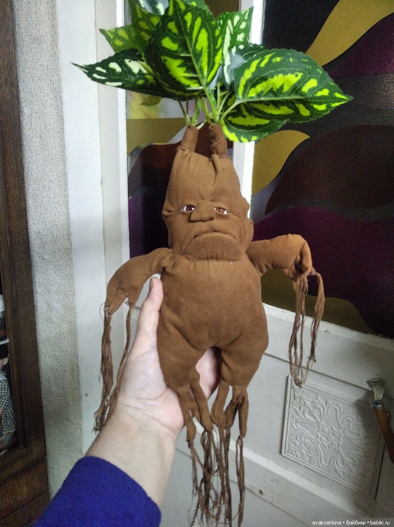 Мандрагора как подарок на Рождество, моя версия