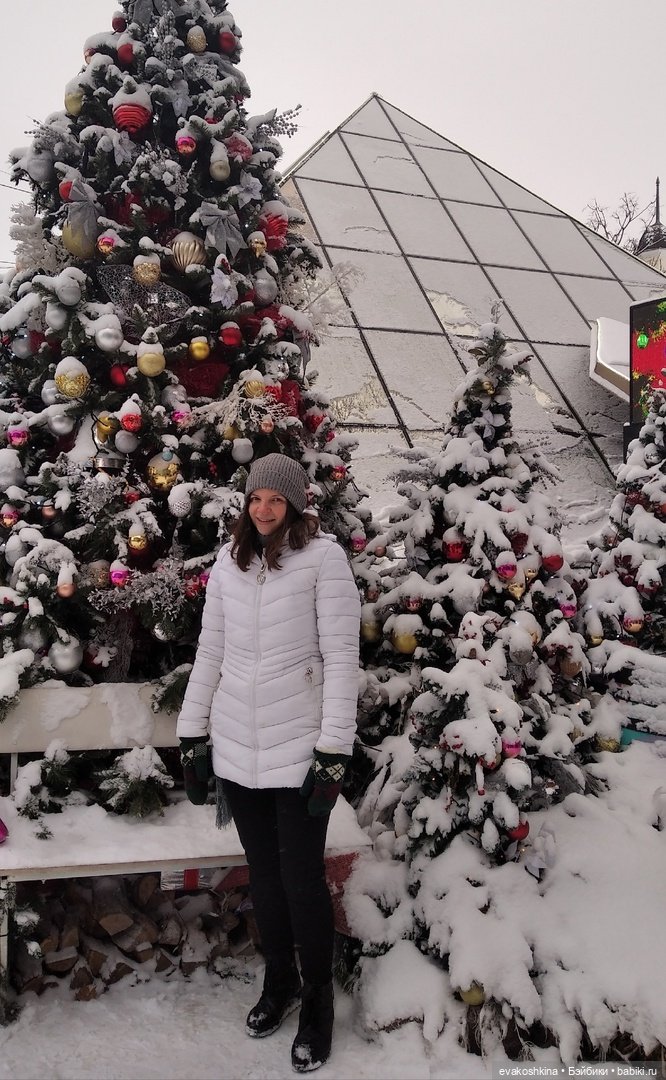 Мандрагора как подарок на Рождество, моя версия