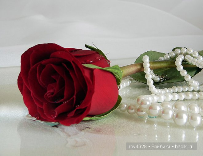 Моя любимая Сашенька от Эштона Дрэйка (фото 9)