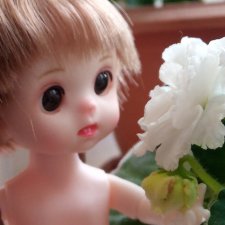 Небольшая коллекция малышек