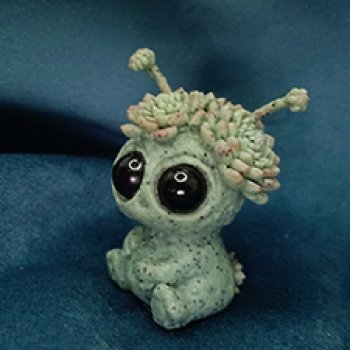 Монстрик Суккулентик