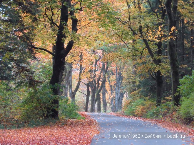Краски осени. Продолжение... Игровые куклы Käthe Kruse. Minouche. Подружки Готц | Бэйбики Краски осени. Продолжение... Игровые куклы Käthe Kruse. Minouche. Подружки Готц