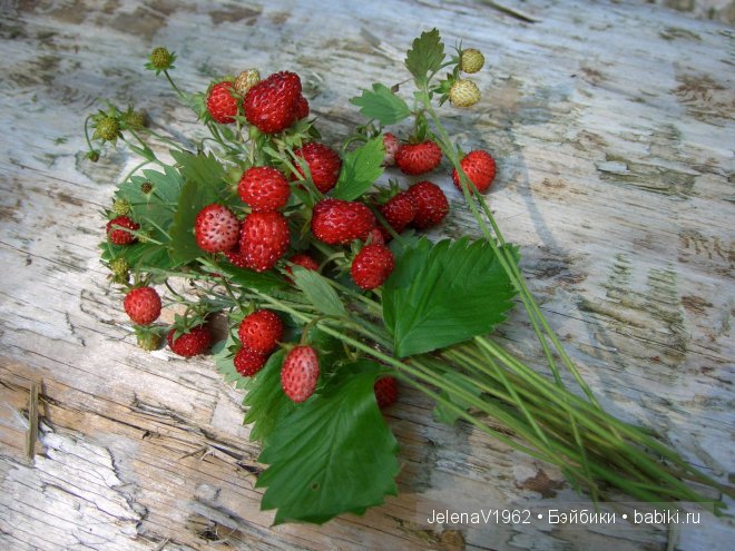 Приглашение в лето... Игровые куклы Käthe Kruse. Minouche. Подружки Готц