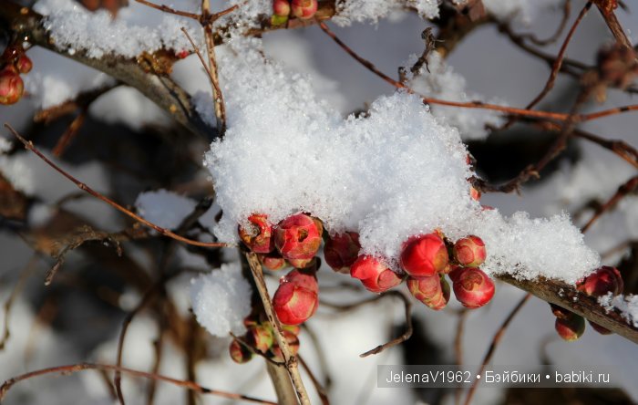 И к нам пришла зима! Коллекционные куклы Rosemarie Müller. Одежда и игрушки своими руками (фото 2)