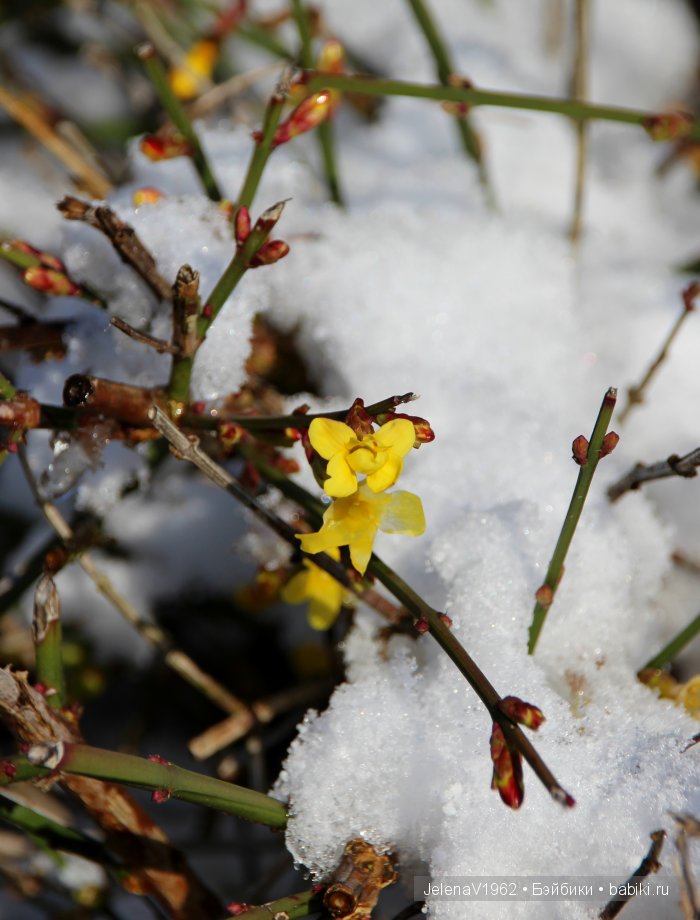 И к нам пришла зима! Коллекционные куклы Rosemarie Müller. Одежда и игрушки своими руками