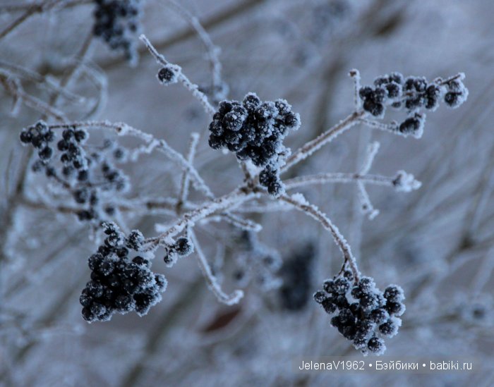 И к нам пришла зима! Коллекционные куклы Rosemarie Müller. Одежда и игрушки своими руками (фото 3)