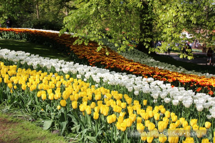 А вы видели море тюльпанов? Койкенхоф. Голландия. Коллекционные куклы Rosemarie Müller. Одежда своими руками