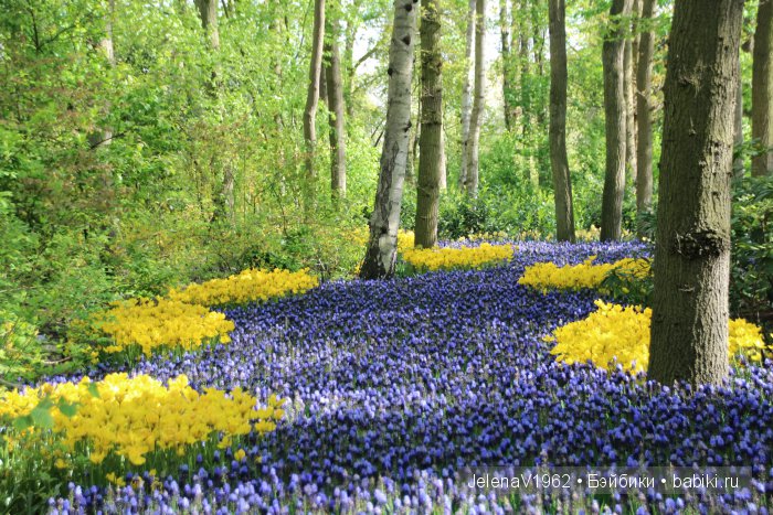 А вы видели море тюльпанов? Койкенхоф. Голландия. Коллекционные куклы Rosemarie Müller. Одежда своими руками