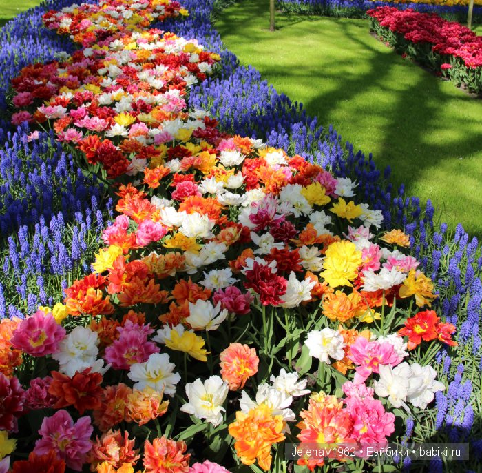 А вы видели море тюльпанов? Койкенхоф. Голландия. Коллекционные куклы Rosemarie Müller. Одежда своими руками