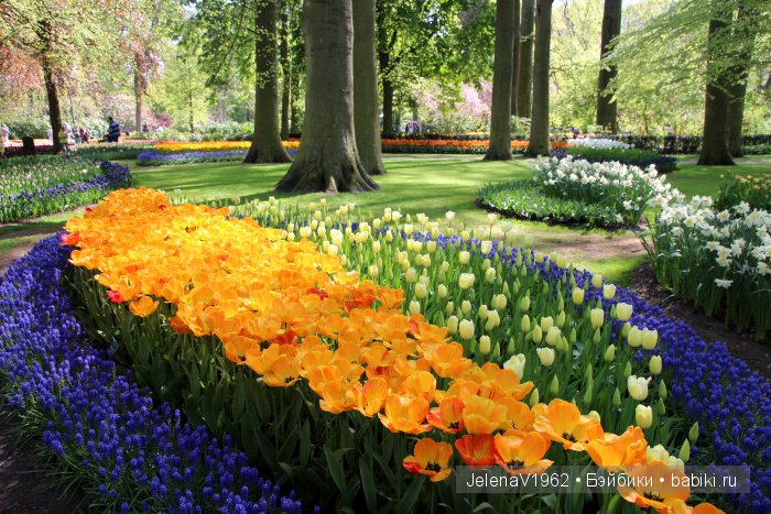 А вы видели море тюльпанов? Койкенхоф. Голландия. Коллекционные куклы Rosemarie Müller. Одежда своими руками