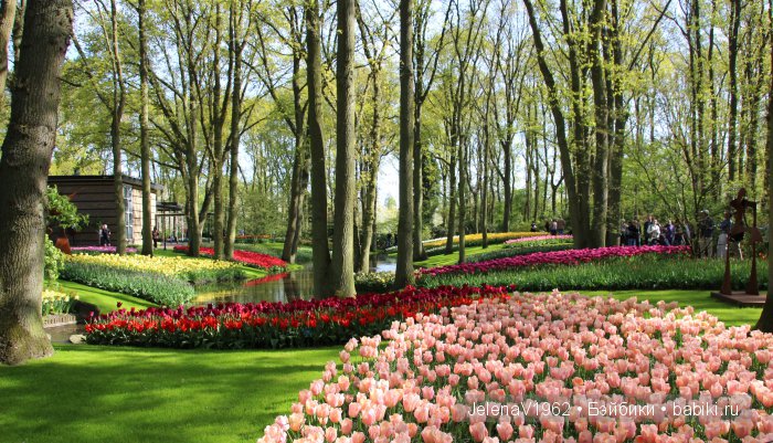 А вы видели море тюльпанов? Койкенхоф. Голландия. Коллекционные куклы Rosemarie Müller. Одежда своими руками