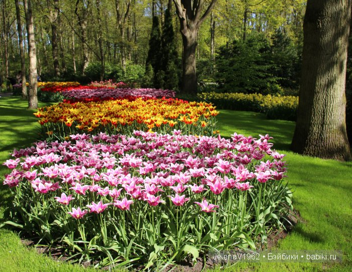 А вы видели море тюльпанов? Койкенхоф. Голландия. Коллекционные куклы Rosemarie Müller. Одежда своими руками (фото 9)