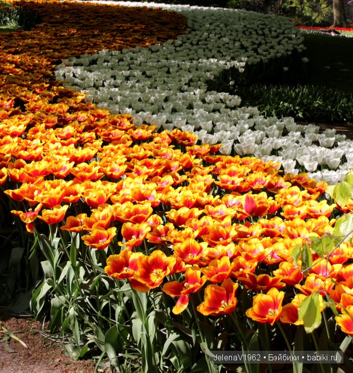 А вы видели море тюльпанов? Койкенхоф. Голландия. Коллекционные куклы Rosemarie Müller. Одежда своими руками