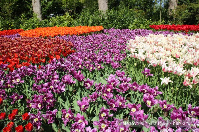 А вы видели море тюльпанов? Койкенхоф. Голландия. Коллекционные куклы Rosemarie Müller. Одежда своими руками