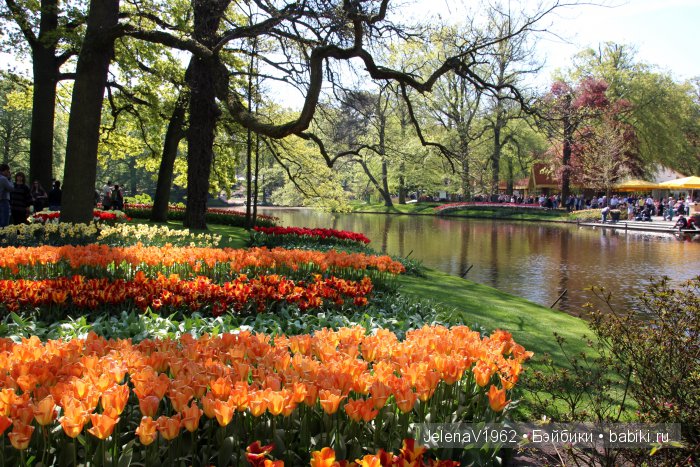 А вы видели море тюльпанов? Койкенхоф. Голландия. Коллекционные куклы Rosemarie Müller. Одежда своими руками