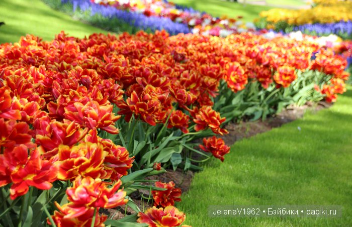 А вы видели море тюльпанов? Койкенхоф. Голландия. Коллекционные куклы Rosemarie Müller. Одежда своими руками