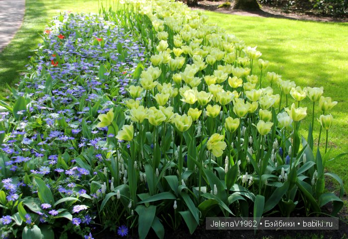 А вы видели море тюльпанов? Койкенхоф. Голландия. Коллекционные куклы Rosemarie Müller. Одежда своими руками
