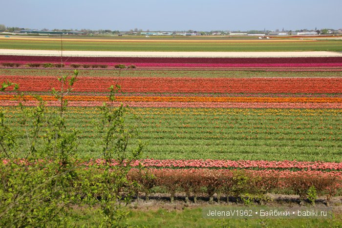 А вы видели море тюльпанов? Койкенхоф. Голландия. Коллекционные куклы Rosemarie Müller. Одежда своими руками