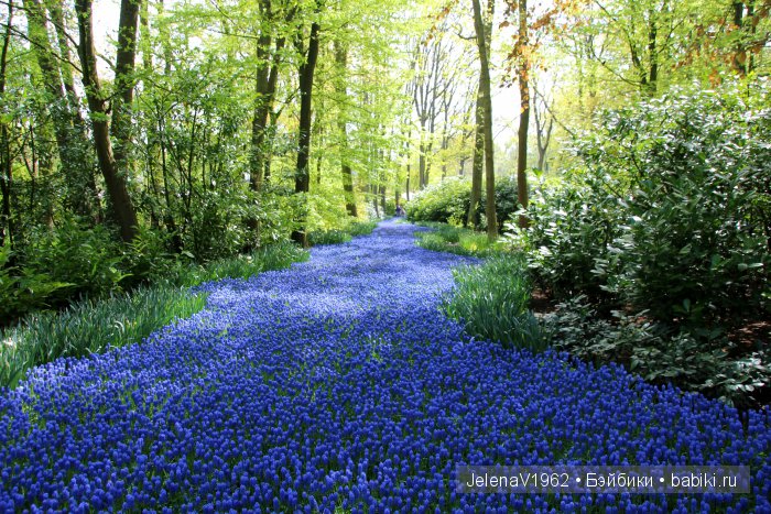 А вы видели море тюльпанов? Койкенхоф. Голландия. Коллекционные куклы Rosemarie Müller. Одежда своими руками