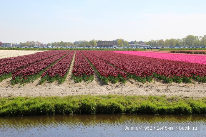 А вы видели море тюльпанов? Койкенхоф. Голландия. Коллекционные куклы Rosemarie Müller. Одежда своими руками