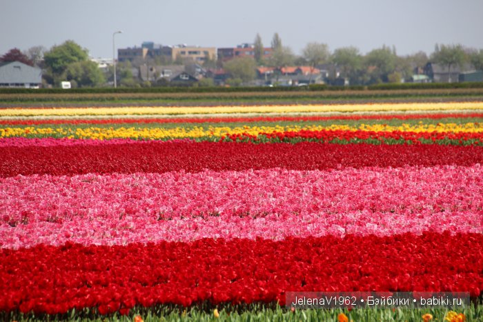 А вы видели море тюльпанов? Койкенхоф. Голландия. Коллекционные куклы Rosemarie Müller. Одежда своими руками
