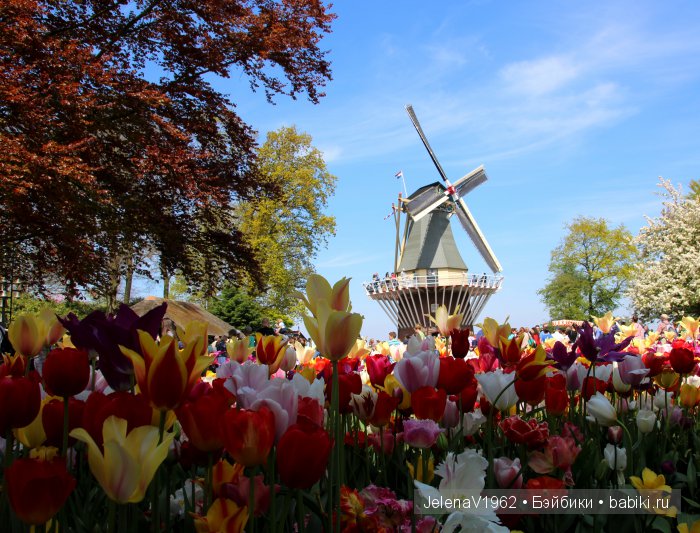 А вы видели море тюльпанов? Койкенхоф. Голландия. Коллекционные куклы Rosemarie Müller. Одежда своими руками