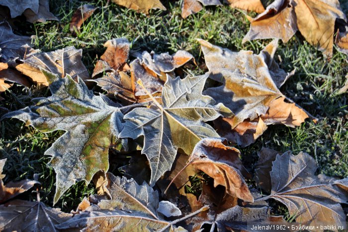 Зима-лето для малышек американочек. American Girl mini и не только. Одежда своими руками (фото 3)