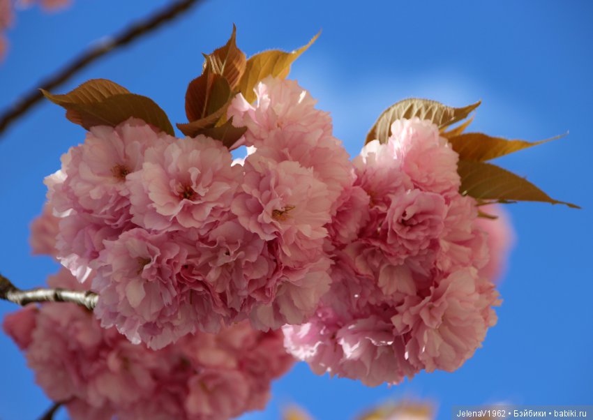 Весеннее настроение для Клерхен от Zwergnase. Одежда своими руками