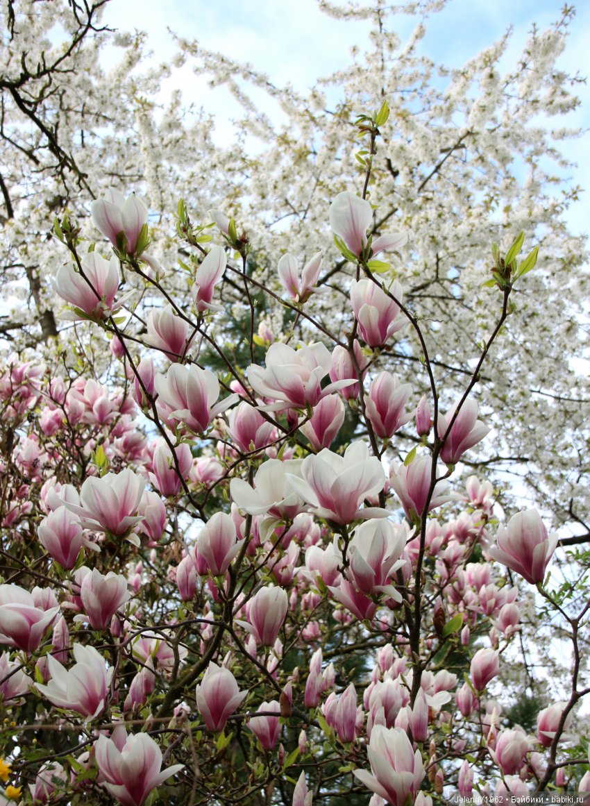 Весеннее настроение для Клерхен от Zwergnase. Одежда своими руками