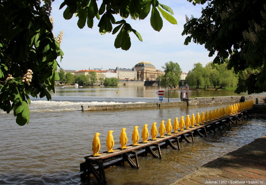 Весенняя Прага счастливыми глазами Вихтелей. Коллекционные куклы Rosemarie Müller, Schildkröt