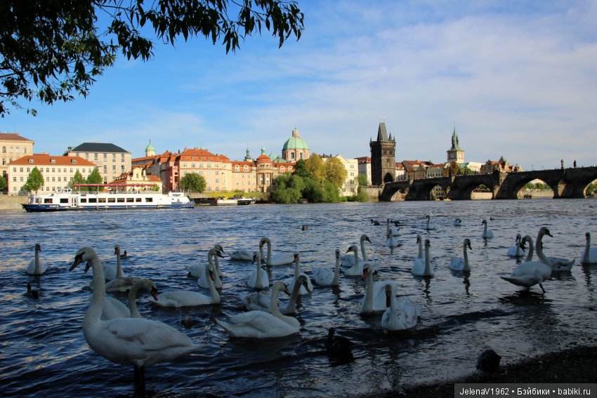 Весенняя Прага счастливыми глазами Вихтелей. Коллекционные куклы Rosemarie Müller, Schildkröt
