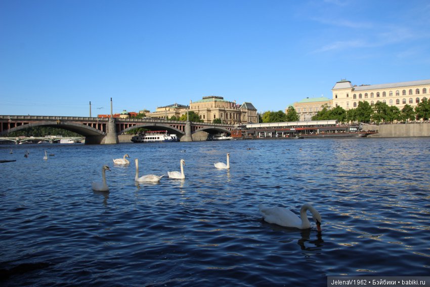 Весенняя Прага счастливыми глазами Вихтелей. Коллекционные куклы Rosemarie Müller, Schildkröt
