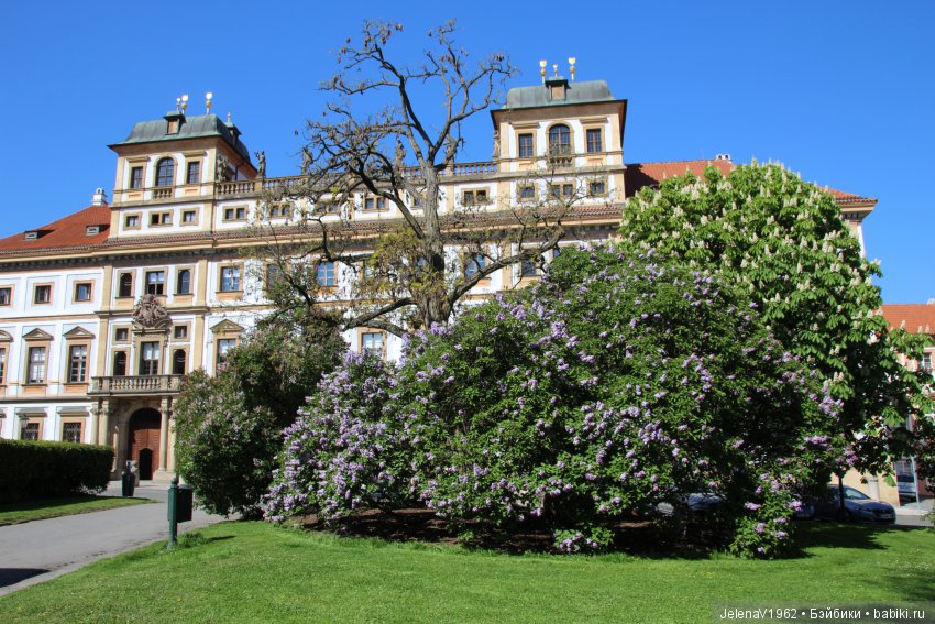 Весенняя Прага счастливыми глазами Вихтелей. Коллекционные куклы Rosemarie Müller, Schildkröt