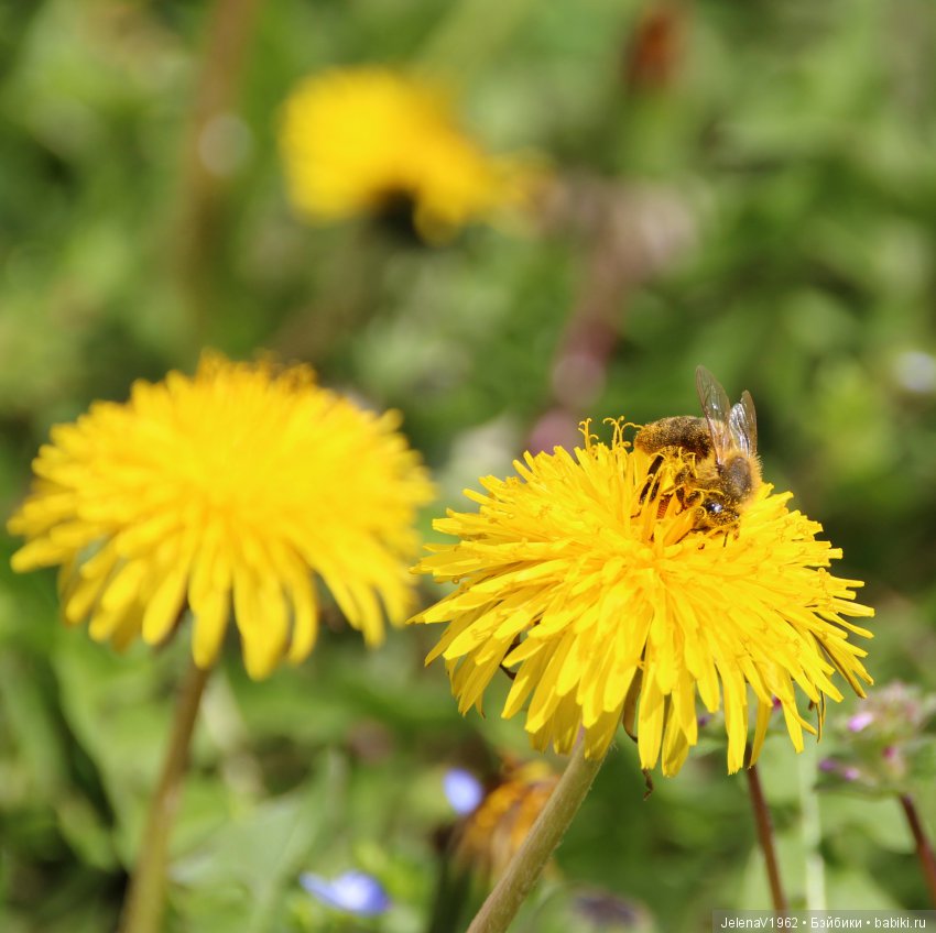 Вязаный диванчик для Маши. МК. Машкины сны