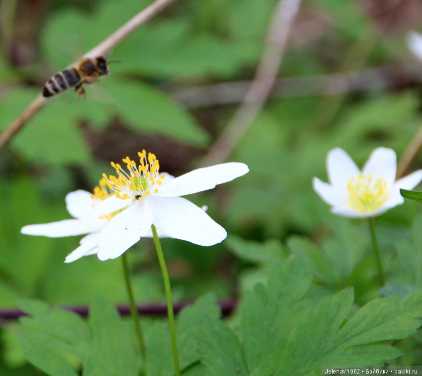 Вязаный диванчик для Маши. МК. Машкины сны