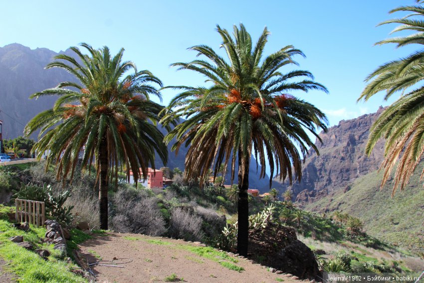 Чудо-остров, чудо-остров, жить на нём легко и просто !!! Игровые куклы Käthe Kruse. Одежда для кукол своими руками