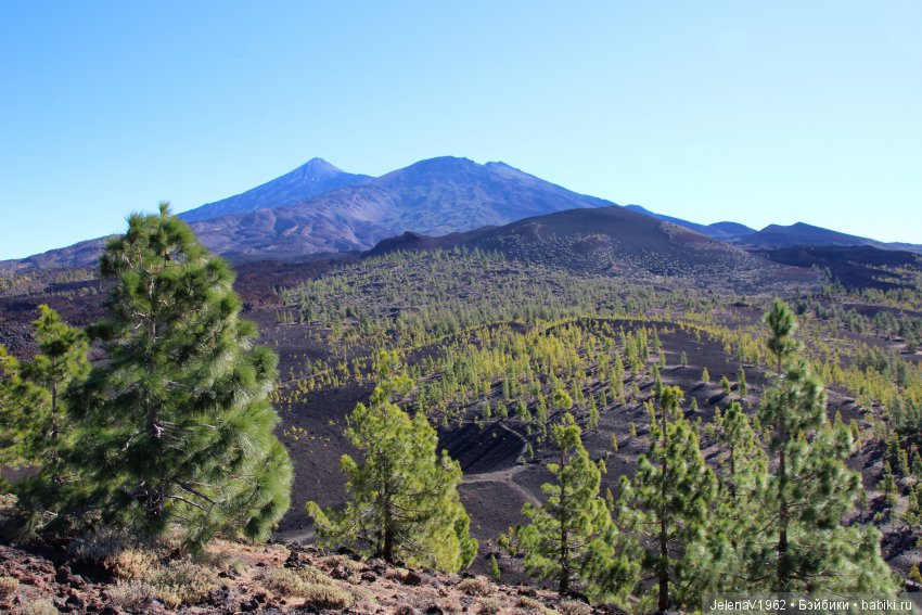 Чудо-остров, чудо-остров, жить на нём легко и просто !!! Игровые куклы Käthe Kruse. Одежда для кукол своими руками