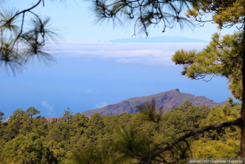 Чудо-остров, чудо-остров, жить на нём легко и просто !!! Игровые куклы Käthe Kruse. Одежда для кукол своими руками