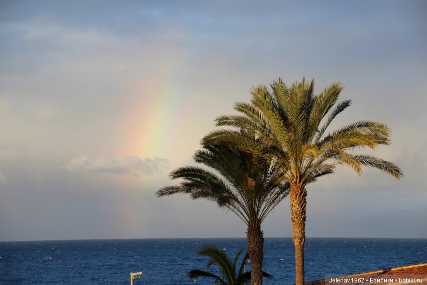 Чудо-остров, чудо-остров, жить на нём легко и просто !!! Игровые куклы Käthe Kruse. Одежда для кукол своими руками